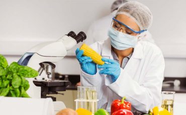 dat9ll2-0bd60744-ccea-45dc-978d-b2a785df7dd1